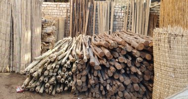 البامبو والقزورين بدائل الأخشاب تغزو الأسواق فى الصعيد