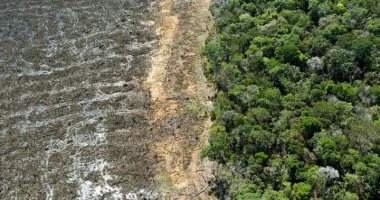 غابات الأمازون المطيرة قد تنهار بحلول 2050 بسبب الجفاف والحرائق