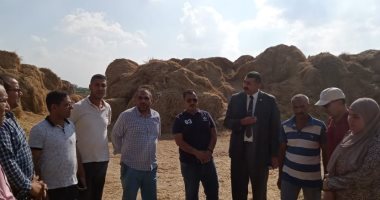 "البيئة": مواجهة حرق قش الأرز بكفر الشيخ واستمرار جمع وكبس القش