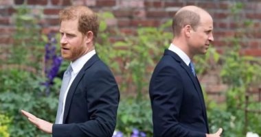 تقرير: الأمير ويليام رفض مقابلة هارى أثناء زيارة والده حتى يعتذر عن سلوكه
