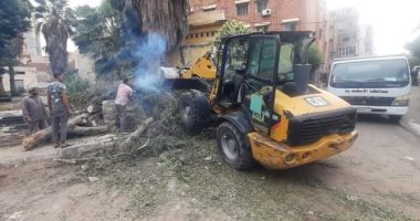رفع عمود إنارة وشجرة سقطا في حي الجمرك بالإسكندرية وإعادة الحركة المرورية