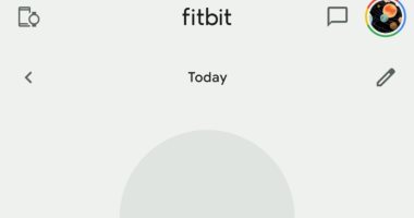 تعطل تطبيق Fitbit بسبب فقدان البيانات الخاصة بالمستخدمين