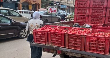 أسعار الخضراوات والفاكهة فى الأسواق.. الطماطم تبدأ من 6.5 جنيه