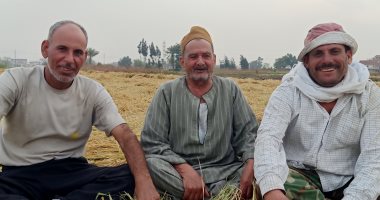 مزارعو الشرقية بعد حصاد الأرز: المحصول وفير وهامش الربح فاق خيالنا