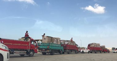 وصول شاحنة مساعدات تركية لقطاع غزة إلى مطار العريش.. فيديو وصور