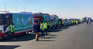 حماة الوطن بالإسكندرية: إرسال 14 شاحنة محملة بـ350 طن أغذية لقطاع غزة 