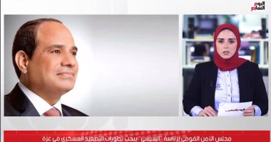 تفاصيل وصول وزير الخارجية الأمريكى القاهرة للتشاور حول التصعيد بغزة.. فيديو