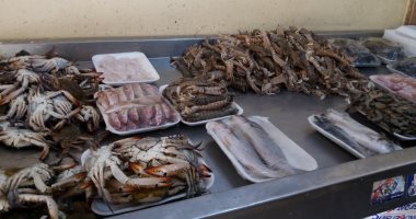 ضبط 1800 كيلو أسماك ولحوم مجهولة المصدر فى كفر الشيخ