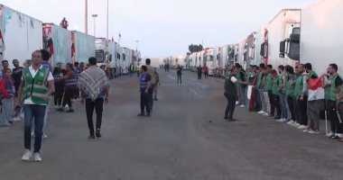 أسطول قوافل التحالف الوطنى يستعد لدخول معبر رفح لإغاثة الفلسطينيين.. فيديو