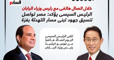 الرئيس السيسى يؤكد: مصر تواصل تنسيق جهود تبنى مسار التهدئة بغزة.. إنفوجراف