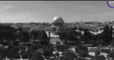 هنا فلسطين من القاهرة.. "عام النكبة" نقطة فاصلة بتاريخ النضال.. فيديو