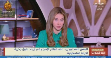متحدث الخارجية: جميع اتصالات مصر تركز على ضرورة وصول المساعدات ونحمل إسرائيل المسؤولية