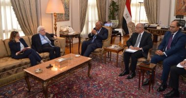 وزير الخارجية: مصر تواصل جهودها لإدخال المساعدات إلى قطاع غزة