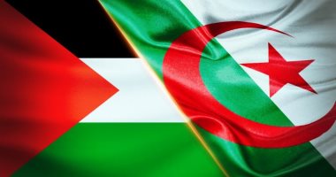 رسميا.. تعليق المنافسات الكروية فى الجزائر تضامنا مع فلسطين