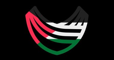 تعبيرا عن دعمها الكامل للقضية.. شعار أندية سيتى كلوب يكتسي بألوان العلم الفلسطينى