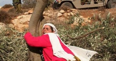 نساء فلسطينيات يتحدثن عن جرائم الاحتلال: هكذا تدفع المرأة الثمن 