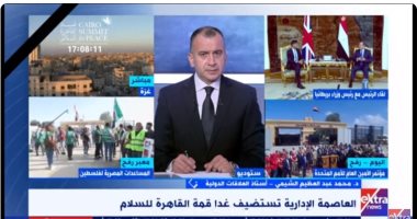 خبير علاقات دولية: مصر تحركت منذ بدء الأزمة لدعم القضية الفلسطينية