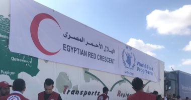 20 شاحنة مساعدات تنطلق من العريش لرفح لإغاثة غزة