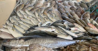 أسعار الأسماك اليوم الخميس فى الأسواق المصرية
