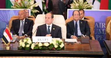 حزب الأحرار الاشتراكيين يثمن دبلوماسية مصر وقرارات الرئيس السيسي لدعم غزة