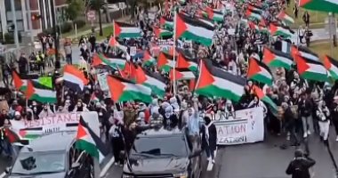 الآلاف يتظاهرون فى ولاية ميشيجان تنديدا بجرائم الاحتلال فى غزة.. فيديو