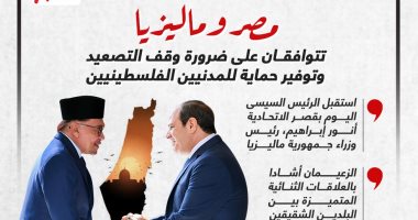 مصر وماليزيا تتوافقان على ضرورة وقف التصعيد وتوفير حماية للمدنيين الفلسطينيين (إنفوجراف)