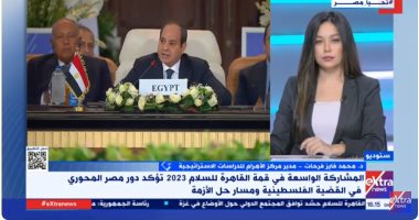 محمد فايز فرحات: قمة القاهرة للسلام عرضت وجهة نظر مصر والعرب لحل الأزمة الفلسطينية