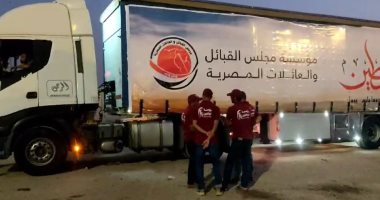 مجلس القبائل والعائلات المصرية يدفع بقافلة مساعدات لإغاثة غزة.. فيديو