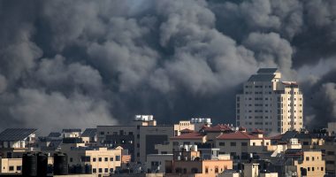 وزير العدل الفلسطيني: الاحتلال يرتكب في غزة إبادة جماعية وأبشع الجرائم ضد الإنسانية