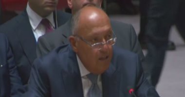سامح شكرى أمام مجلس الأمن: حل القضية الفلسطينية ليس التهجير لمناطق أخرى