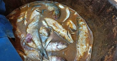 ضبط 150 كيلو أسماك مملحة بدون بيانات وتحرير 15 محضرًا متنوعًا بكفر الشيخ
