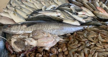 تعرف على أسعار الأسماك فى مصر اليوم الأحد بسوق الجملة