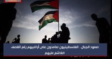 صحفى فلسطينى: استشهاد أكثر من 25 صحفيا جراء القصف الغاشم على غزة.. فيديو