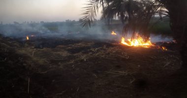 تحرير 54 محضرًا بديروط لمنع حرق المخلفات الزراعية