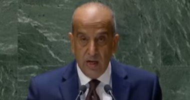 مندوب مصر لدى الأمم المتحدة: الجمعية العامة تساند الحق العربي وترفض التهجير القسري