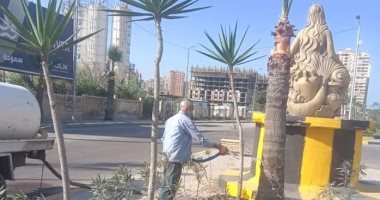 رفع كفاءة وزراعة الأشجار بالمندرة والمعمورة في الإسكندرية ضمن "100 مليون شجرة"