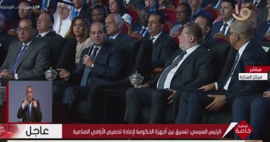 الرئيس السيسي: مصر حريصة على أن تلعب دورا إيجابيا فى القضية الفلسطينية