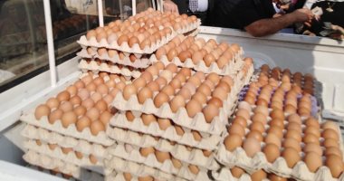 الزراعة: إطلاق 10 منافذ متحركة فى 8 محافظات لبيع البيض بأسعار مخفضة.. صور