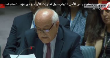 شاهد كلمات الدول خلال جلسة مجلسة الأمن الطارئة بشأن غزة