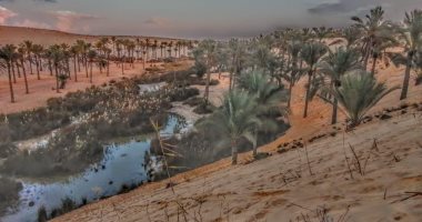 دراسة تكشف أهمية تنفيذ المشروعات القومية فى سيناء