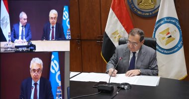 مصر والوكالة الدولية للطاقة توقعان برنامجا مشتركا للإسراع بإنتاج الطاقة