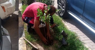 محافظ الإسكندرية: زراعة نحو 260 ألف شجرة مثمرة وغير مثمرة بالأحياء