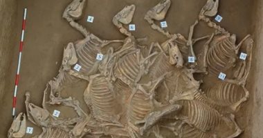 علماء الآثار يعثرون على بقايا مدينة من العصر البرونزى فى الصين