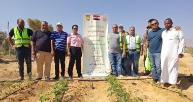 الزراعة: بحوث الصحراء ينظم قافلة تنموية لدعم مزارعي نويبع بجنوب سيناء
