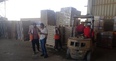La France annonce la livraison de 11 tonnes d’aide humanitaire à Gaza… et remercie l’Egypte pour ses efforts