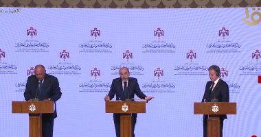 وزير خارجية الأردن: أكدنا ضرورة إيصال المساعدات لغزة واحترام القانون الدولى