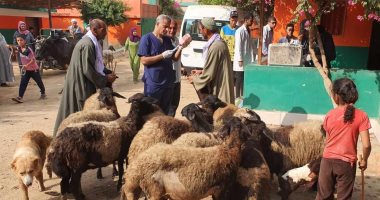 الزراعة: علاج 4000 رأس ماشية مجانا لصغار المربين بمحافظة أسوان