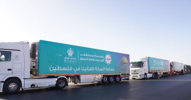 الهلال الأحمر المصرى يعلن تسليم 750 شاحنة مساعدات إنسانية لقطاع غرة