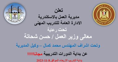 وزارة العمل: فتح باب التسجيل لدورات تدريبية مجانية على 4 مهن لشباب الإسكندرية 