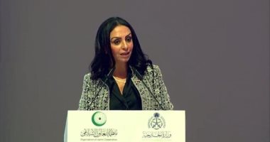 رئيس المجلس القومي للمرأة: تصفية القضية الفلسطينية هي تصفية لحقوق الإنسان